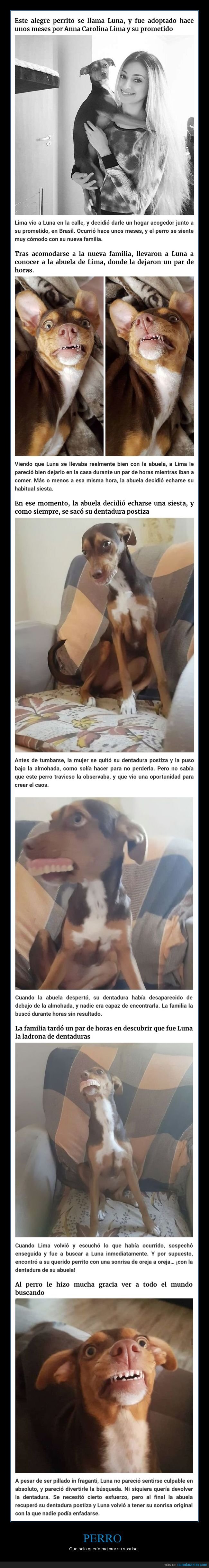 2018 xxx estilo perrito cerca de badalona 2018 xxx estilo perrito cerca de badalona
